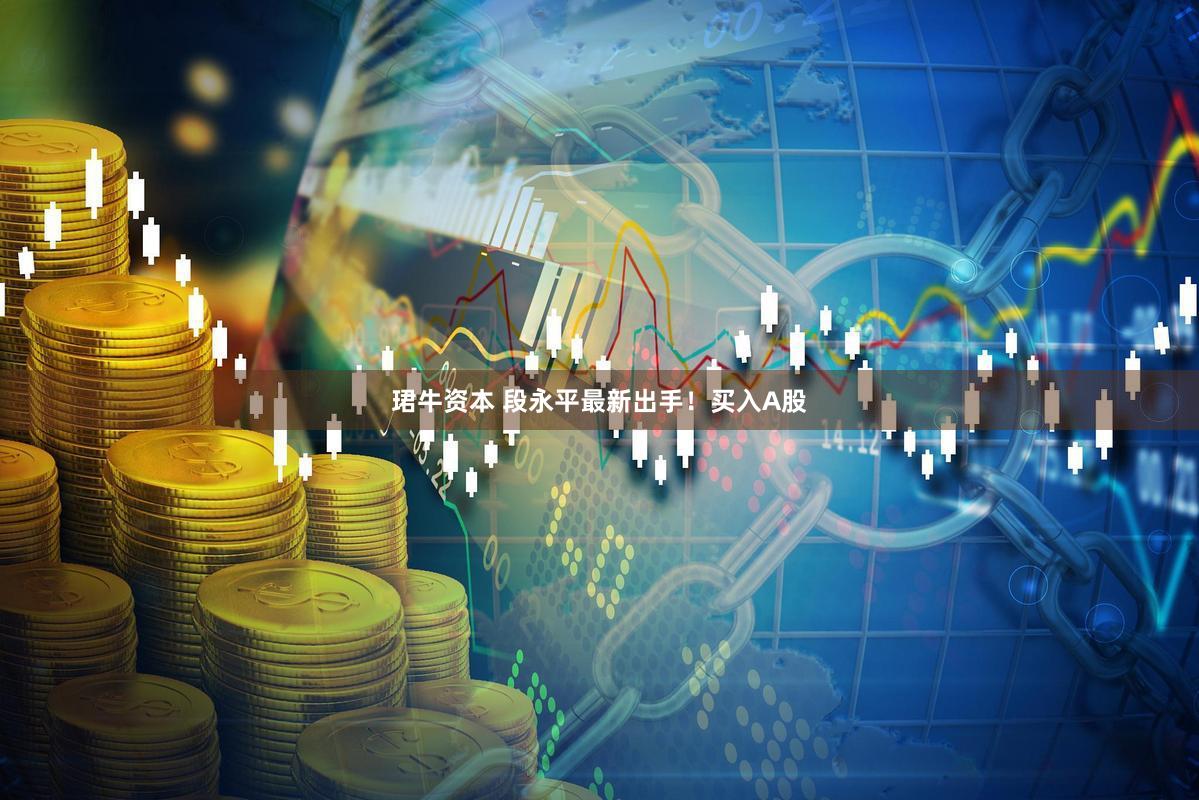 珺牛资本 段永平最新出手！买入A股