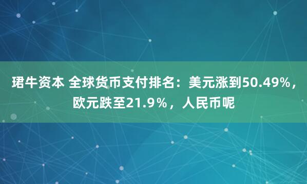 珺牛资本 全球货币支付排名:美元涨到50.49%,欧元跌至21.9%,人民币呢