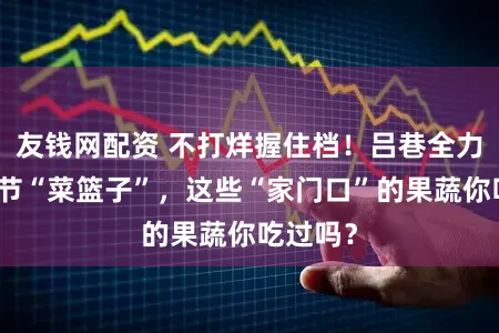 友钱网配资 不打烊握住档！吕巷全力督察春节“菜篮子”，这些“家门口”的果蔬你吃过吗？