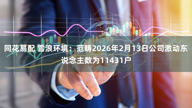 同花易配 雪浪环境：范畴2026年2月13日公司激动东说念主数为11431户