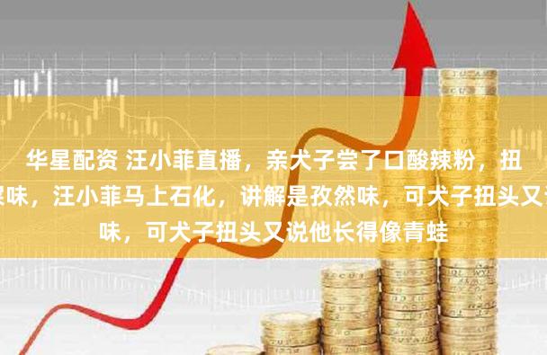华星配资 汪小菲直播，亲犬子尝了口酸辣粉，扭头就说：一股屎味，汪小菲马上石化，讲解是孜然味，可犬子扭头又说他长得像青蛙