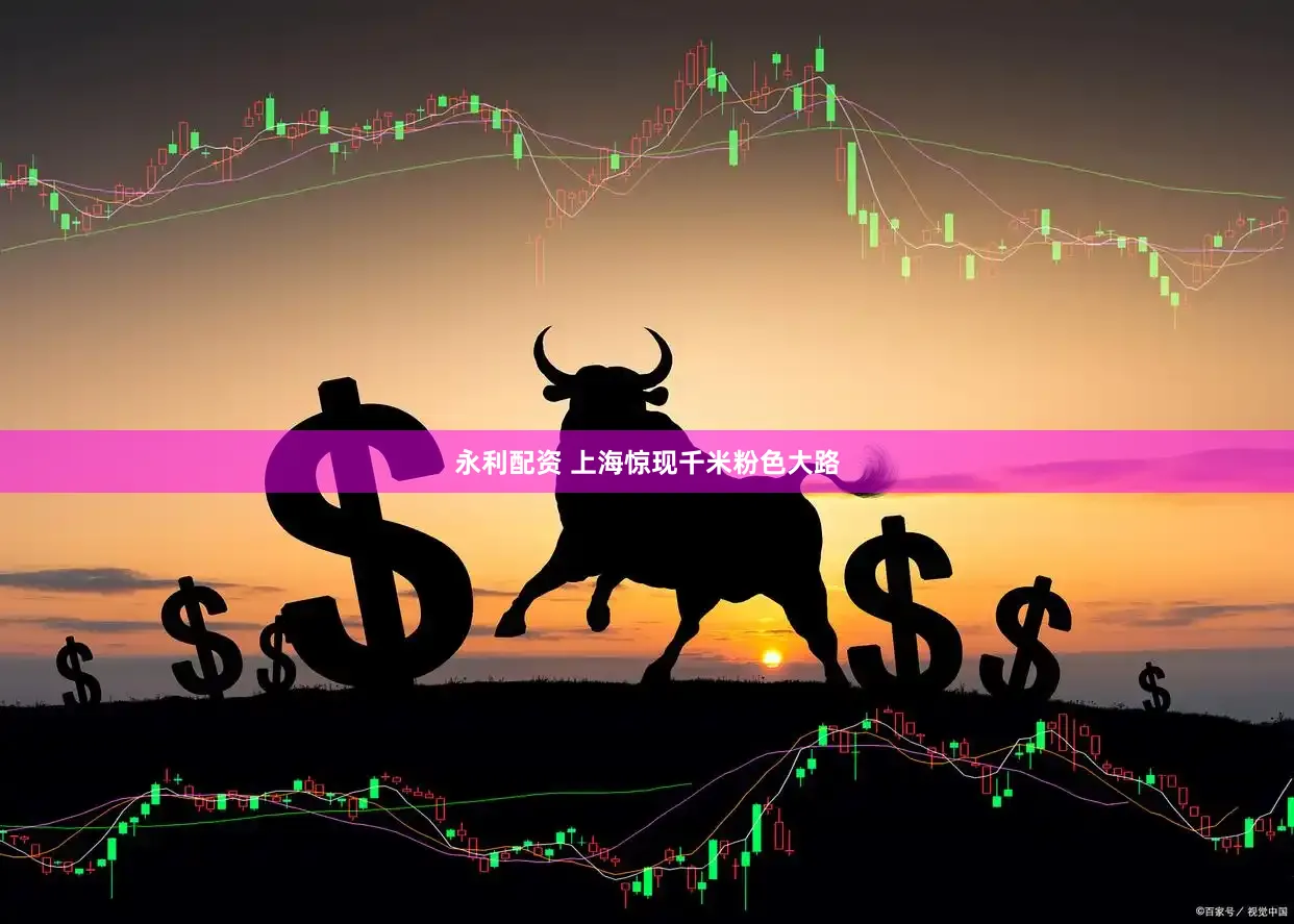 永利配资 上海惊现千米粉色大路