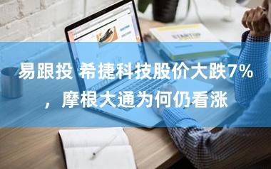 易跟投 希捷科技股价大跌7%,摩根大通为何仍看涨