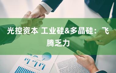 光控资本 工业硅&多晶硅：飞腾乏力