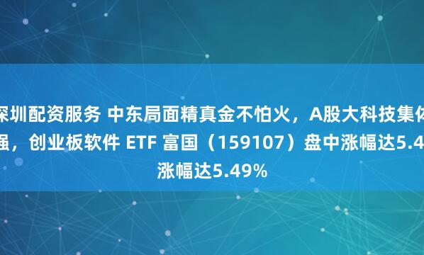深圳配资服务 中东局面精真金不怕火，A股大科技集体走强，创业板软件 ETF 富国（159107）盘中涨幅达5.49%