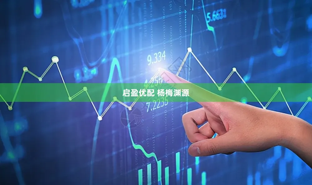 启盈优配 杨梅渊源