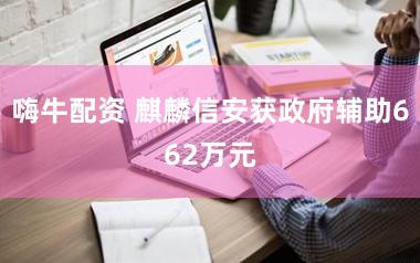 嗨牛配资 麒麟信安获政府辅助662万元